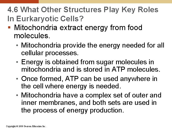 4. 6 What Other Structures Play Key Roles In Eurkaryotic Cells? § Mitochondria extract