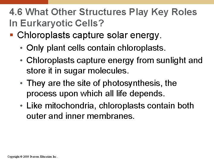 4. 6 What Other Structures Play Key Roles In Eurkaryotic Cells? § Chloroplasts capture
