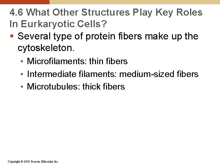 4. 6 What Other Structures Play Key Roles In Eurkaryotic Cells? § Several type