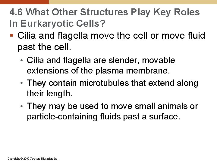 4. 6 What Other Structures Play Key Roles In Eurkaryotic Cells? § Cilia and