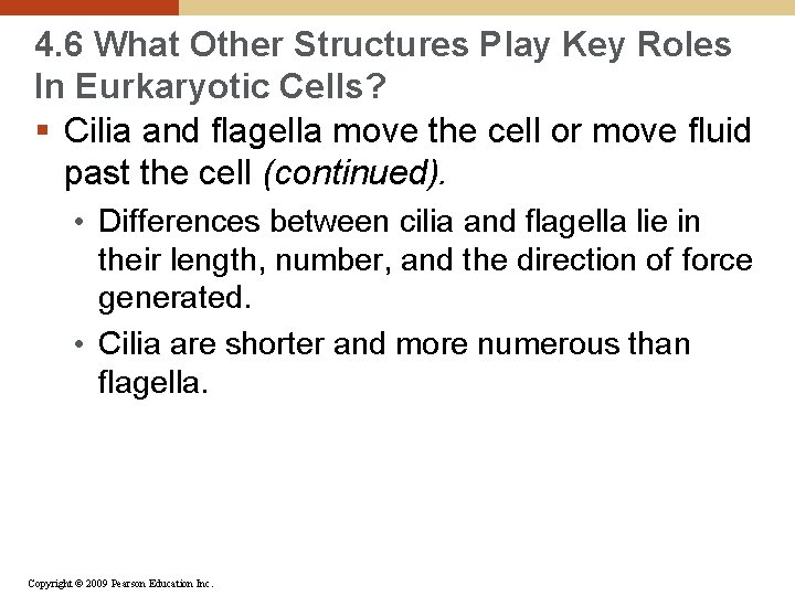 4. 6 What Other Structures Play Key Roles In Eurkaryotic Cells? § Cilia and