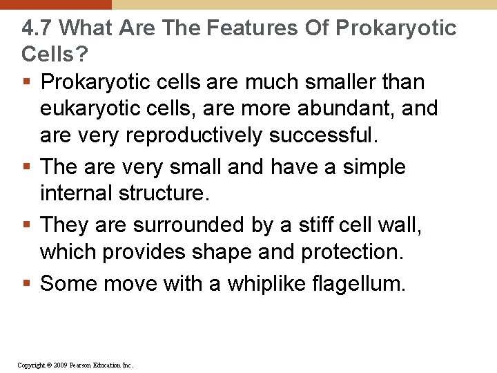 4. 7 What Are The Features Of Prokaryotic Cells? § Prokaryotic cells are much