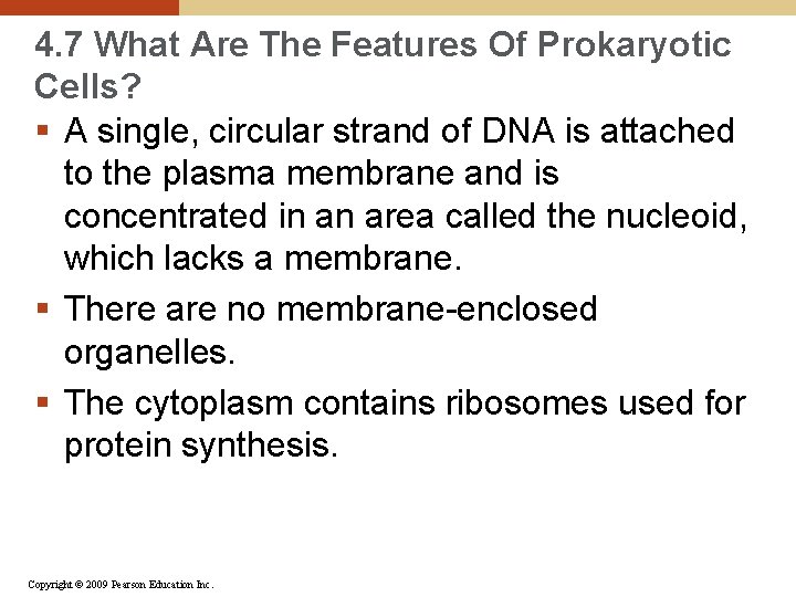 4. 7 What Are The Features Of Prokaryotic Cells? § A single, circular strand