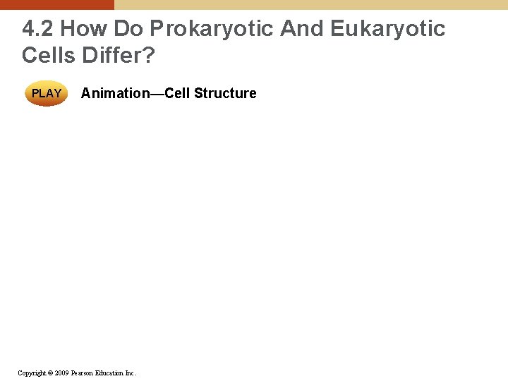 4. 2 How Do Prokaryotic And Eukaryotic Cells Differ? PLAY Animation—Cell Structure Copyright ©