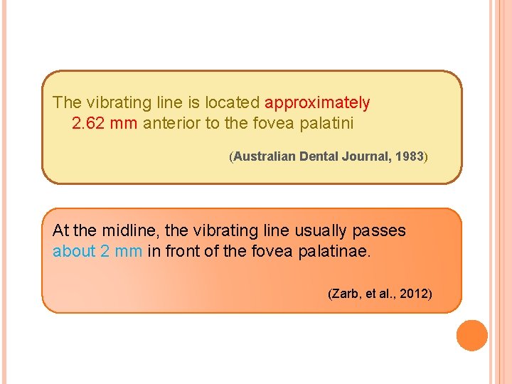 The vibrating line is located approximately 2. 62 mm anterior to the fovea palatini