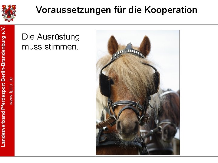 Die Ausrüstung muss stimmen. www. lpbb. de Landesverband Pferdesport Berlin-Brandenburg e. V. Voraussetzungen für