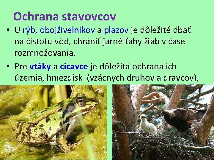 Ochrana stavovcov • U rýb, obojživelníkov a plazov je dôležité dbať na čistotu vôd, Ochrana stavovcov • U rýb, obojživelníkov a plazov je dôležité dbať na čistotu vôd,