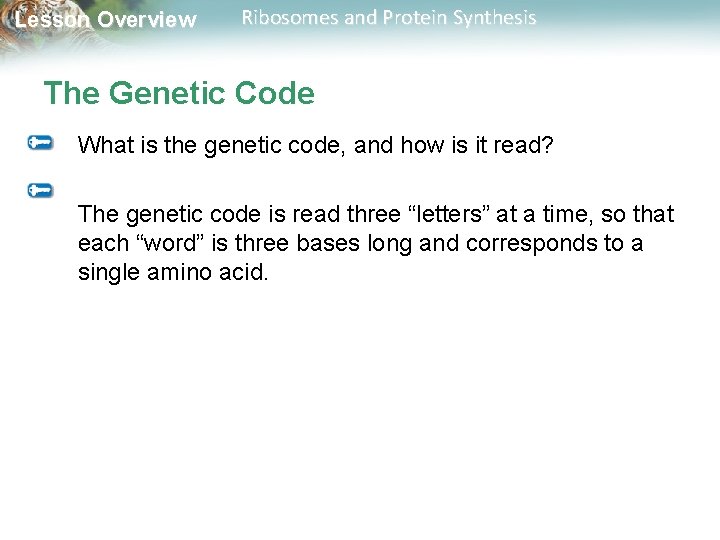 Lesson Overview Ribosomes and Protein Synthesis The Genetic Code What is the genetic code,