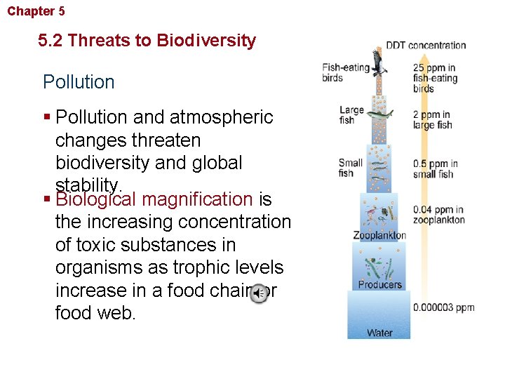 Chapter 5 Biodiversity and Conservation 5. 2 Threats to Biodiversity Pollution § Pollution and