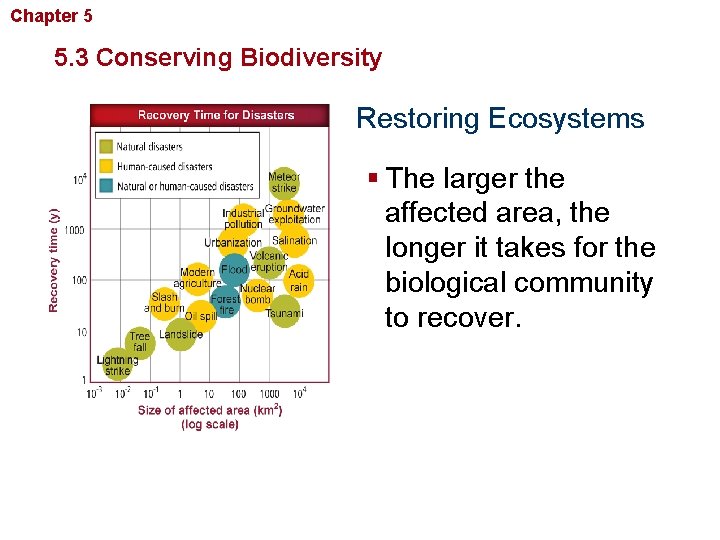 Chapter 5 Biodiversity and Conservation 5. 3 Conserving Biodiversity Restoring Ecosystems § The larger