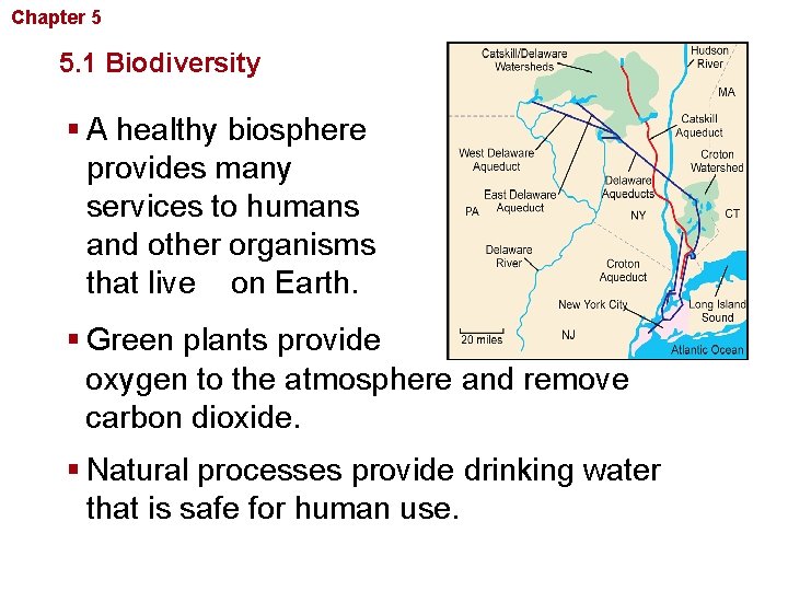 Chapter 5 Biodiversity and Conservation 5. 1 Biodiversity § A healthy biosphere provides many