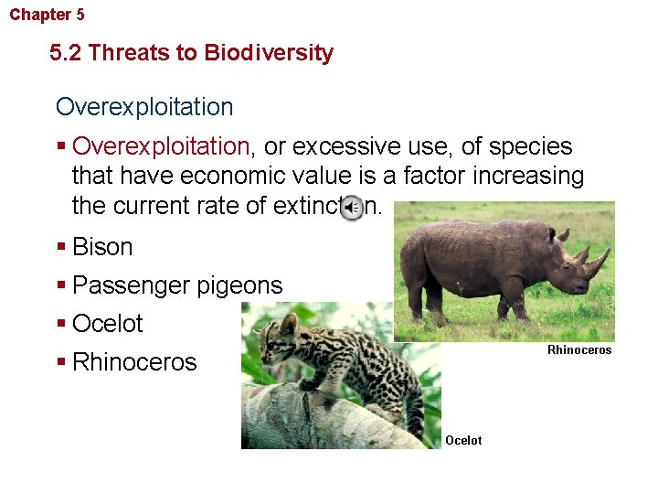 Chapter 5 Biodiversity and Conservation 5. 2 Threats to Biodiversity Overexploitation § Overexploitation, or