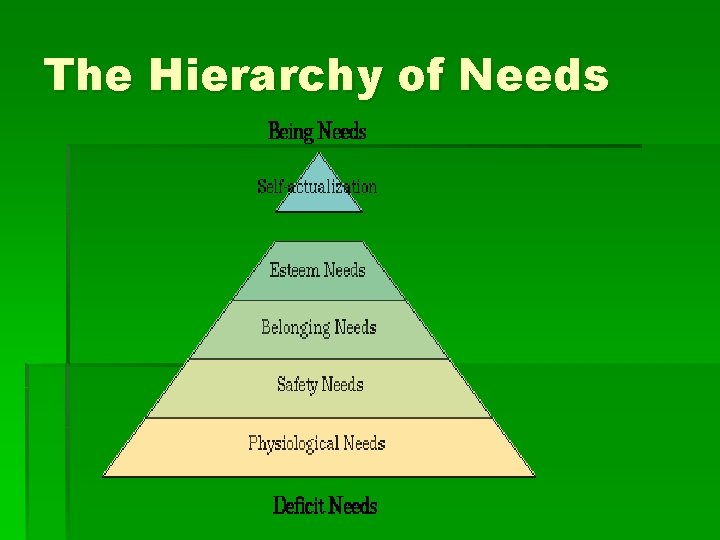 The Hierarchy of Needs 