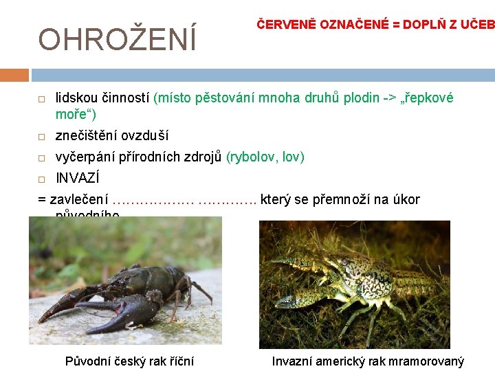 OHROŽENÍ ČERVENĚ OZNAČENÉ = DOPLŇ Z UČEB lidskou činností (místo pěstování mnoha druhů plodin