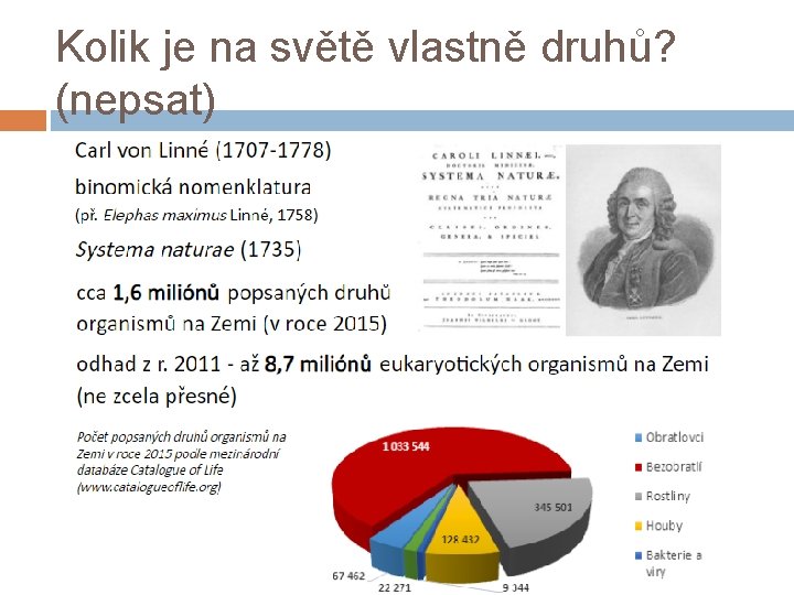 Kolik je na světě vlastně druhů? (nepsat) 