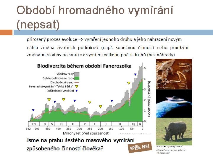 Období hromadného vymírání (nepsat) 