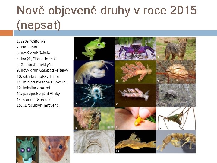 Nově objevené druhy v roce 2015 (nepsat) 