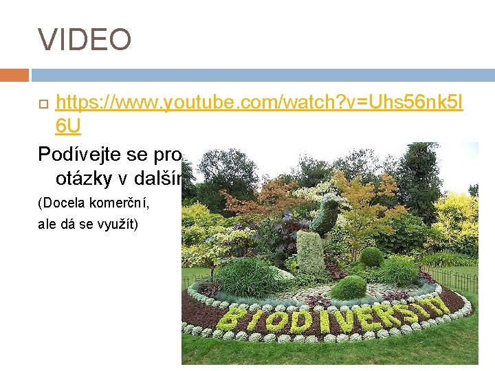 VIDEO https: //www. youtube. com/watch? v=Uhs 56 nk 5 l 6 U Podívejte se