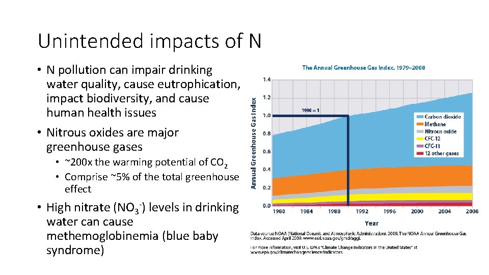 Why do we worry about nitrogen A brief
