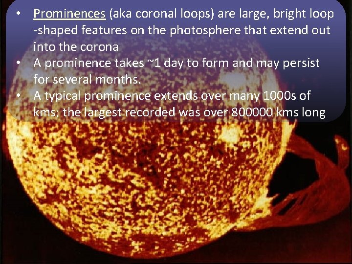  • Prominences (aka coronal loops) are large, bright loop -shaped features on the