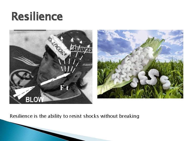 Resilience is the ability to resist shocks without breaking 
