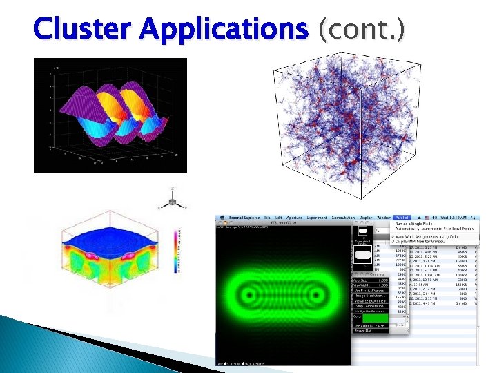 Cluster Applications (cont. ) 