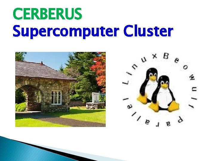 CERBERUS Supercomputer Cluster 