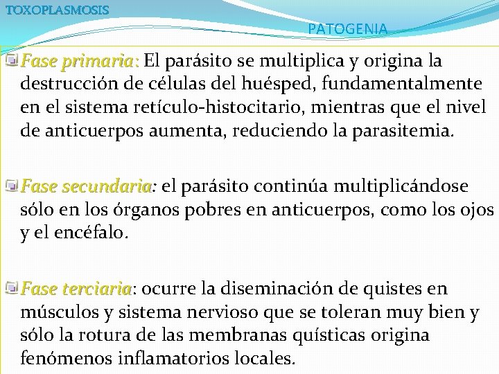 TOXOPLASMOSIS PATOGENIA Fase primaria: El parásito se multiplica y origina la destrucción de células