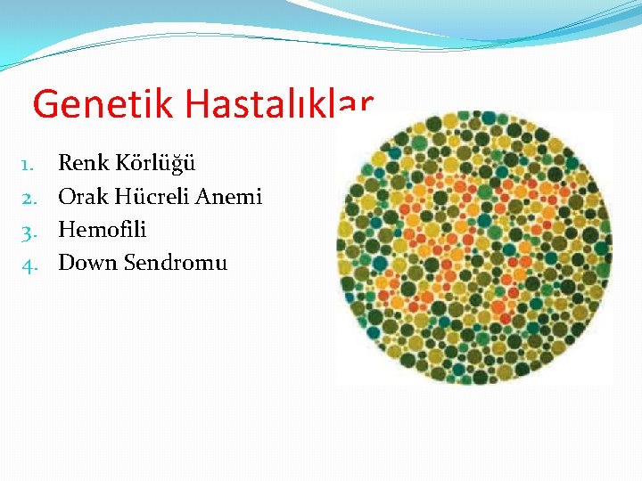 Genetik Hastalıklar 1. 2. 3. 4. Renk Körlüğü Orak Hücreli Anemi Hemofili Down Sendromu