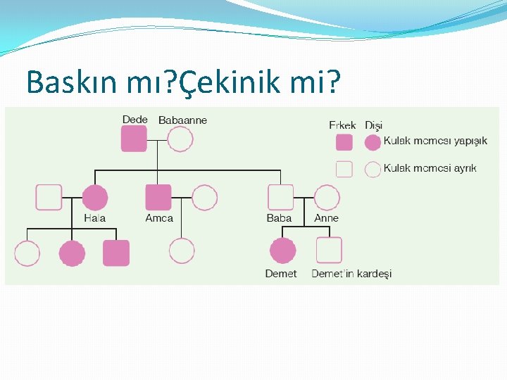 Baskın mı? Çekinik mi? 