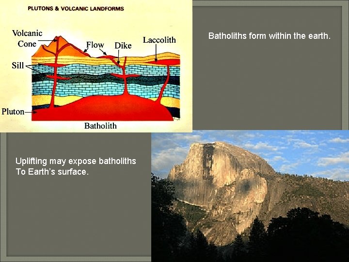 Batholiths form within the earth. Uplifting may expose batholiths To Earth’s surface. 