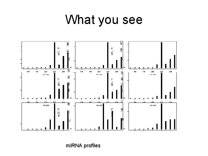 What you see mi. RNA profiles 