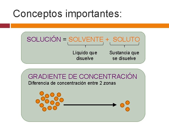Conceptos importantes: SOLUCIÓN = SOLVENTE + SOLUTO Líquido que disuelve Sustancia que se disuelve