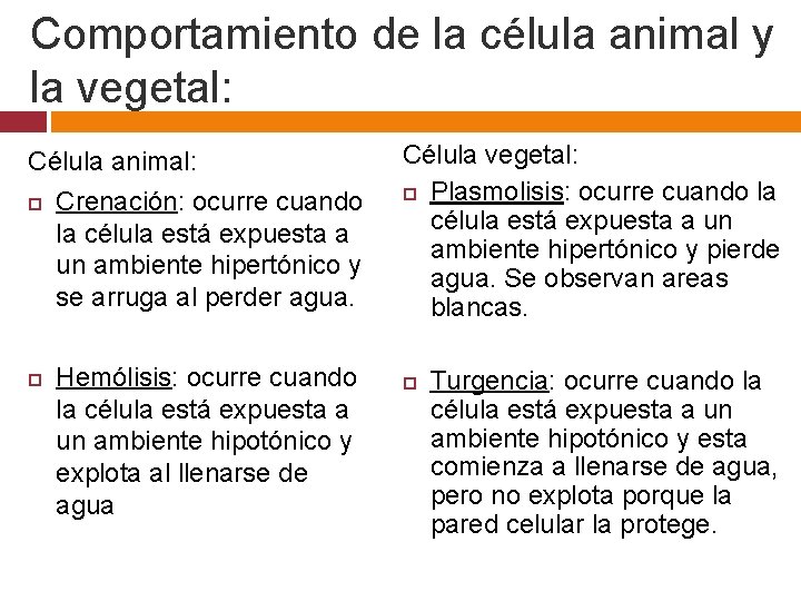 Comportamiento de la célula animal y la vegetal: Célula animal: Crenación: ocurre cuando la