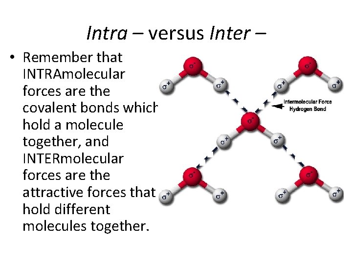 Intra – versus Inter – • Remember that INTRAmolecular forces are the covalent bonds