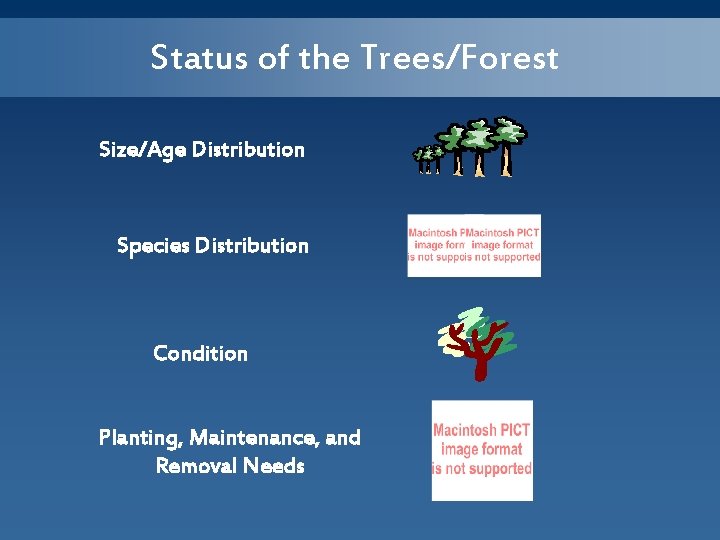 Status of the Trees/Forest Size/Age Distribution Species Distribution Condition Planting, Maintenance, and Removal Needs