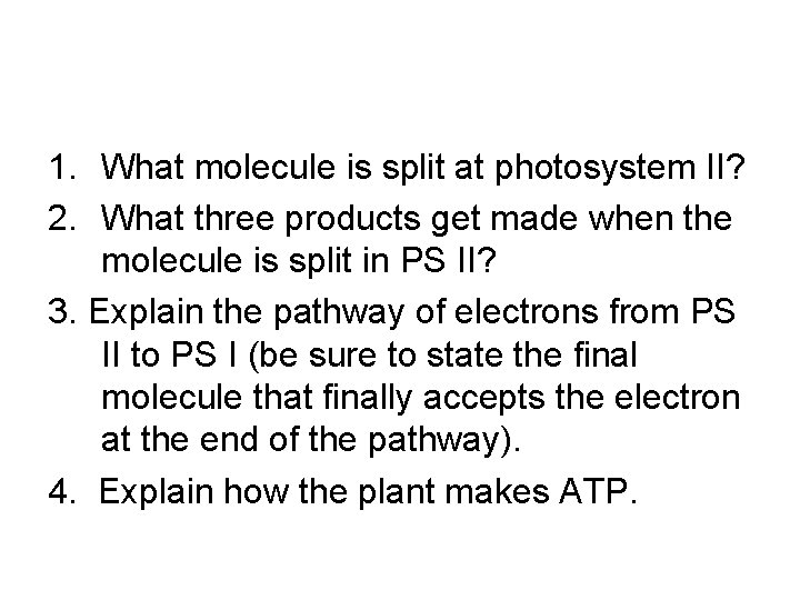 1. What molecule is split at photosystem II? 2. What three products get made