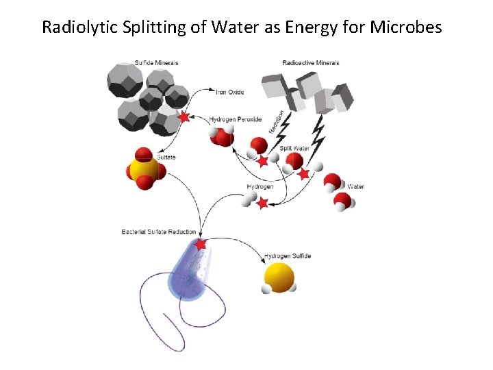 Radiolytic Splitting of Water as Energy for Microbes 