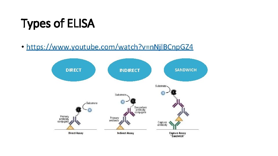 Types of ELISA • https: //www. youtube. com/watch? v=n. Njl. BCnp. GZ 4 DIRECT