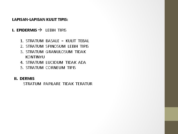 LAPISAN-LAPISAN KULIT TIPIS: I. EPIDERMIS LEBIH TIPIS 1. STRATUM BASALE = KULIT TEBAL 2.