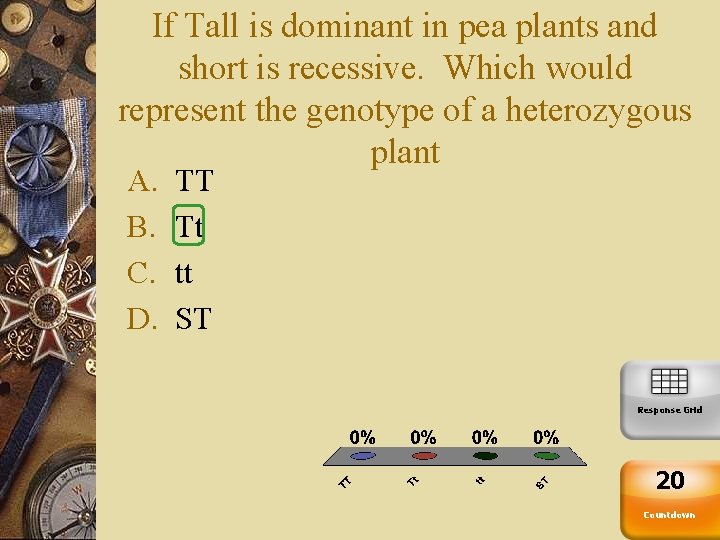If Tall is dominant in pea plants and short is recessive. Which would represent