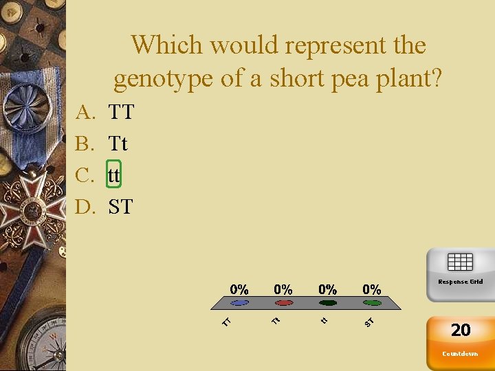 Which would represent the genotype of a short pea plant? A. B. C. D.