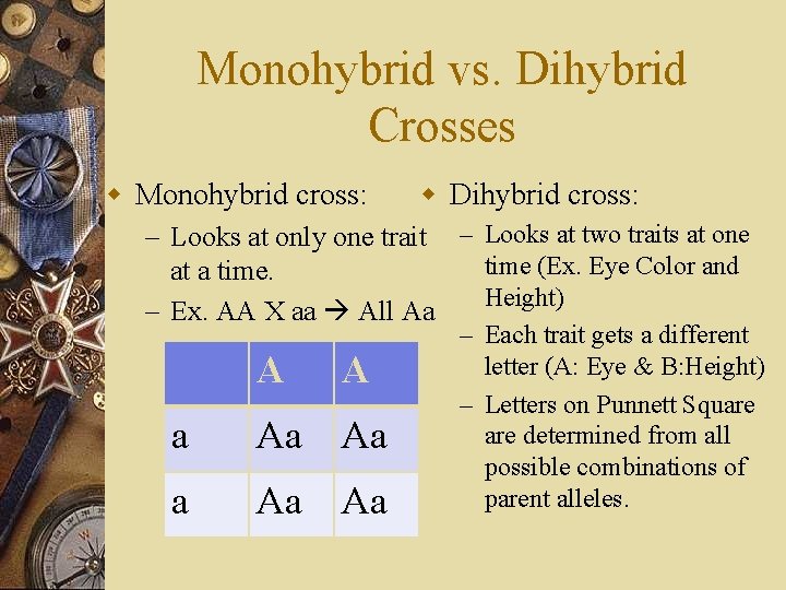 Monohybrid vs. Dihybrid Crosses w Monohybrid cross: w Dihybrid cross: – Looks at only