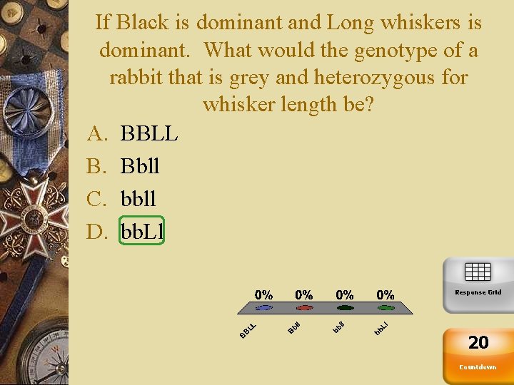 If Black is dominant and Long whiskers is dominant. What would the genotype of