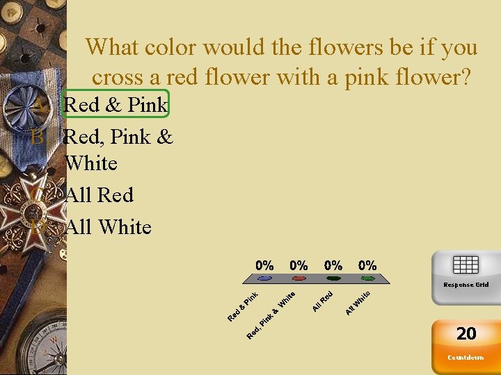 What color would the flowers be if you cross a red flower with a