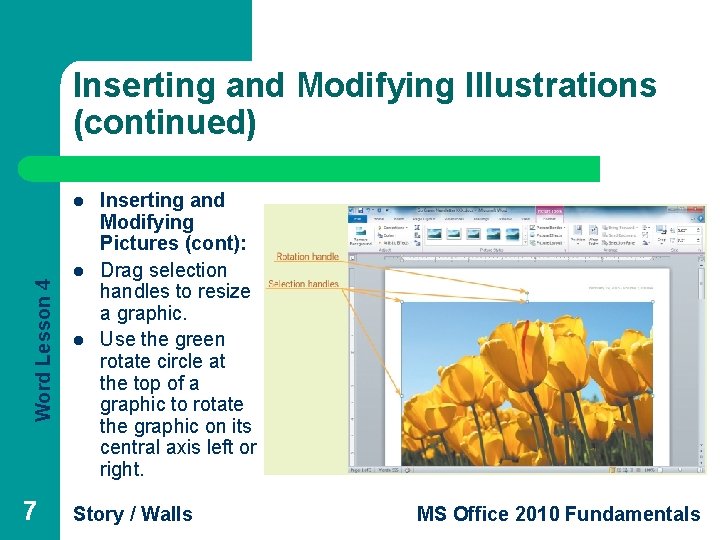 Inserting and Modifying Illustrations (continued) Word Lesson 4 l 7 l l Inserting and