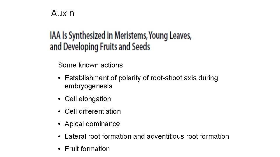 Auxin Some known actions • Establishment of polarity of root-shoot axis during embryogenesis •