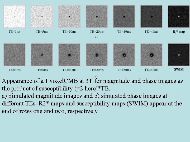 Appearance of a 1 voxel. CMB at 3 T for magnitude and phase images