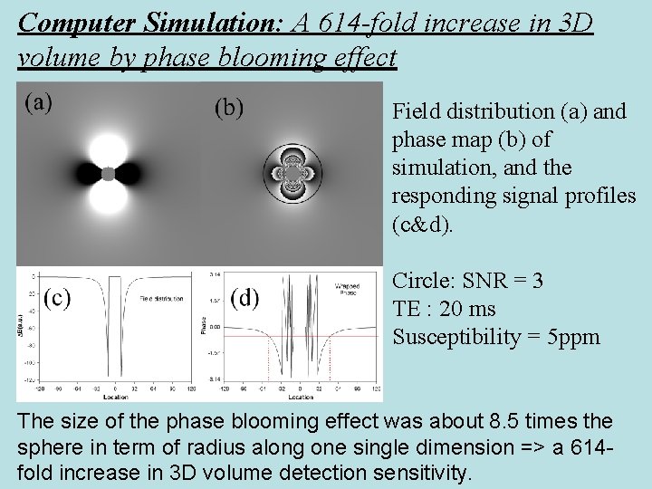 Computer Simulation: A 614 -fold increase in 3 D volume by phase blooming effect