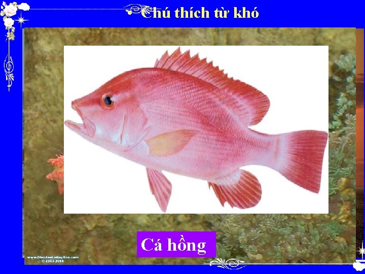  • Chú thích từ khó Tàu 1 giã Hải sâm §¸ ®Çu s